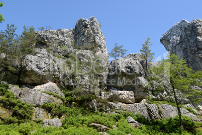 Pfahl bei Viechtach