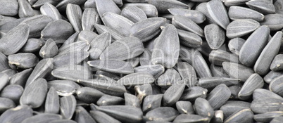 many of sunflower seeds