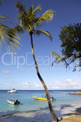 tropical beach in Carribean