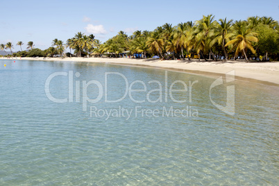 tropical beach in Carribean