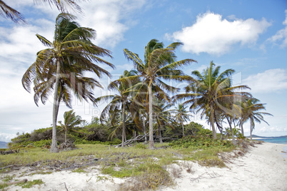 tropical beach in Carribean