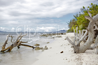 tropical beach in Carribean