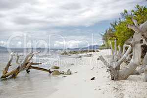 tropical beach in Carribean