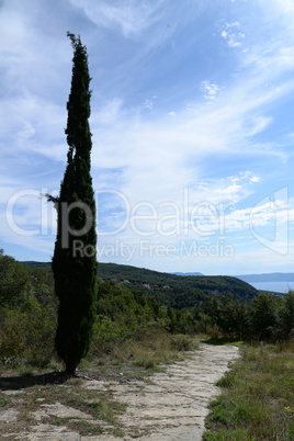 Wanderweg zwischen Labin und Rabac