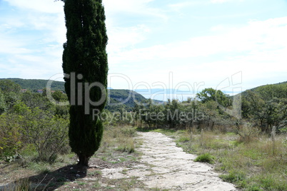 Wanderweg zwischen Labin und Rabac