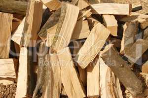 Big pile of firewood hornbeam