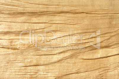 Broken wooden log