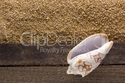 Background with beach sand