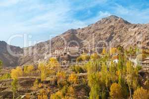 Alchi Monastery in Leh