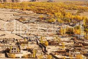 Leh village view in northen India