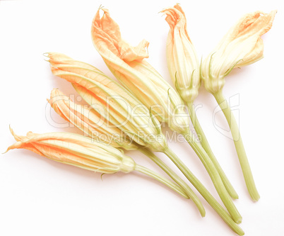Retro looking Courgette Zucchini flowers