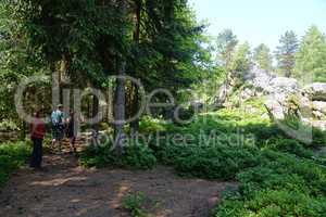 Wandern am Pfahl bei Viechtach