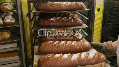 german baker controlling large traditional breads 11724