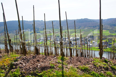 Kindel an der Mosel