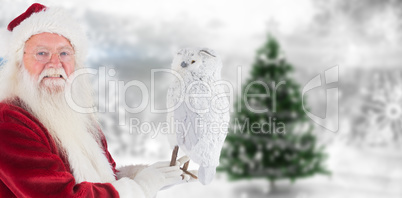 Composite image of father christmas holds an owl