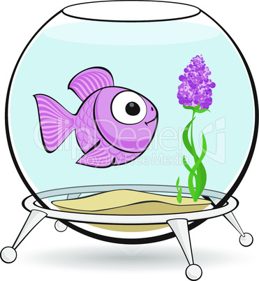 pink fish in fishbowl