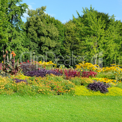 Blossoming flowerbeds in the park