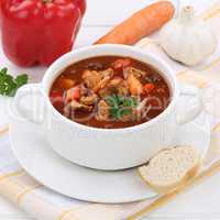 Gulasch Suppe Gulaschsuppe gesunde Ernährung mit Baguette, Flei