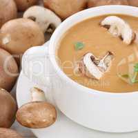 Pilzsuppe Pilz Champignons Suppe mit Pilze Nahaufnahme gesunde E