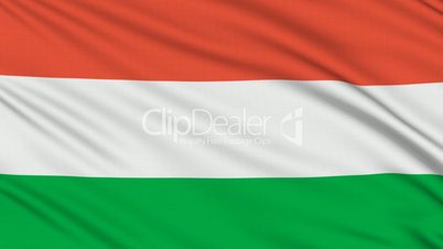 Hungarian flag, with real structure of a fabric