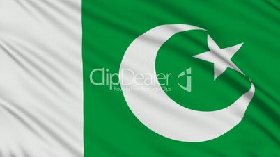 Pakistani flag, with real structure of a fabric