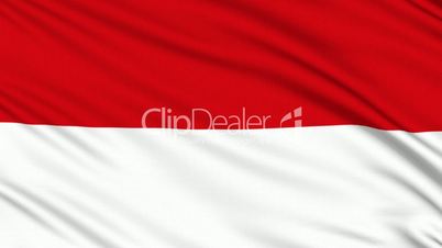 Indonesia flag, with real structure of a fabric