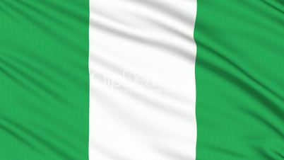 Nigeria flag, with real structure of a fabric