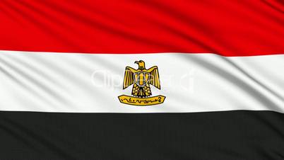 Egyptian flag, with real structure of a fabric
