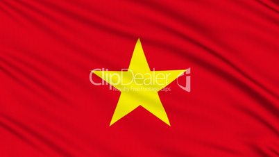Vietnamese Flag, with real structure of a fabric