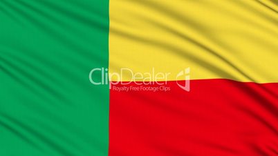 Beninese Flag, with real structure of a fabric