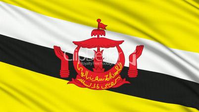 Brunei Flag, with real structure of a fabric