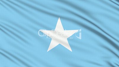 Somali flag, with real structure of a fabric