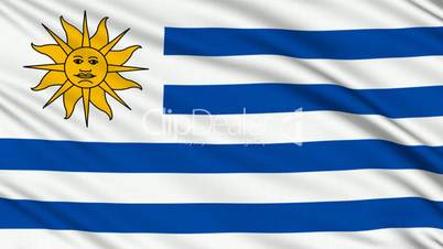 Uruguaian Flag, with real structure of a fabric