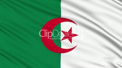 Algeria Flag, with real structure of a fabric