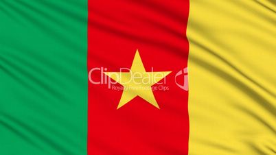 Cameroon Flag, with real structure of a fabric