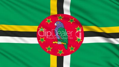 Dominica Flag,, with real structure of a fabric