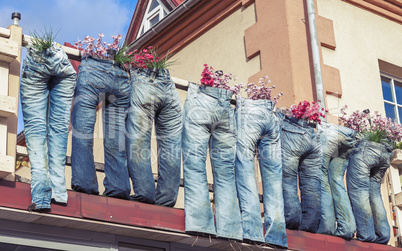 Group of blue jeans used as flower pots