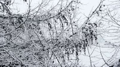 Slow motion shot of heavy snowfall/lake effect snow