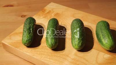 Fresh cucumbers on a board