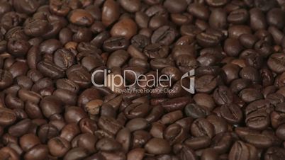 Coffee beans close view