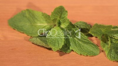 Green mint plant on a wooden table