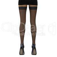 Female Legs in Black Lace Stockings