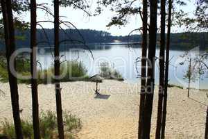 beautiful lake with sandy coast in the forest