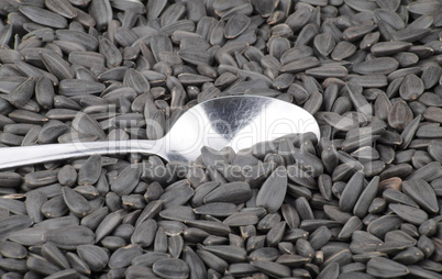 sunflower seeds background and one teaspoon