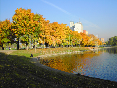autumn in city park