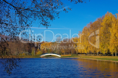 Autumn in City Park