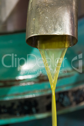 stream of olive oil