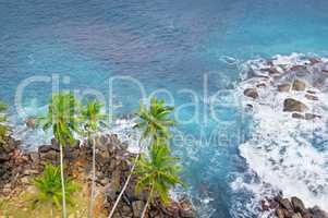 ocean, rocky shore and coconut palms (top view)