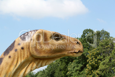 dinosaur head