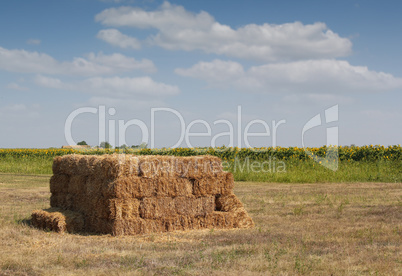 straw bale on field